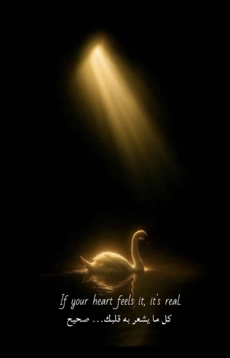 alnoonAl1's tweet photo. #شعور https://t.co/k2z7vynAi2