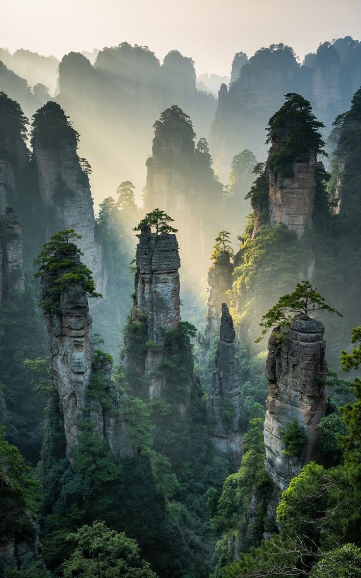 NaturalWorld515's tweet photo. Avatar Mountains, Zhangjiajie, China https://t.co/153WX64yCF