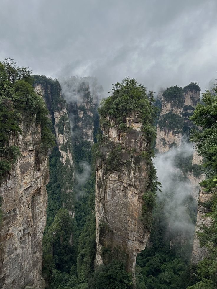 NaturalWorld515's tweet photo. Avatar Mountains, Zhangjiajie, China https://t.co/153WX64yCF