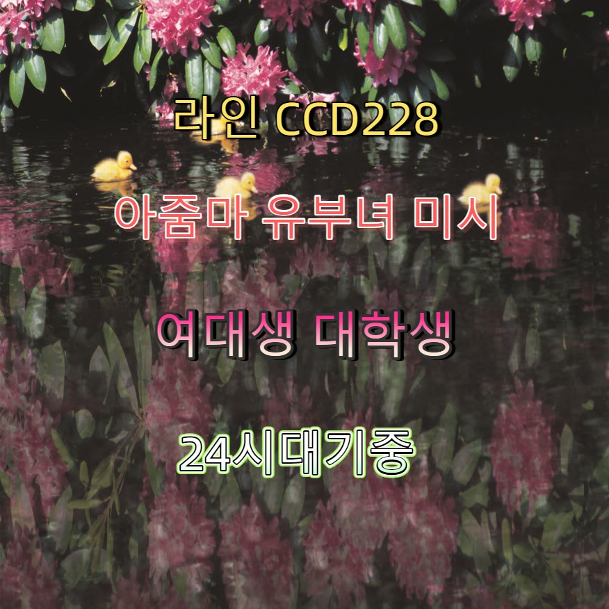 Giancarlo_Or's tweet photo. 📰🚪🍈
#무안 #무안만남 #섹트
#무안ㅈㄱ #건오 #ㅈㄱ https://t.co/9UGfpjXyQh