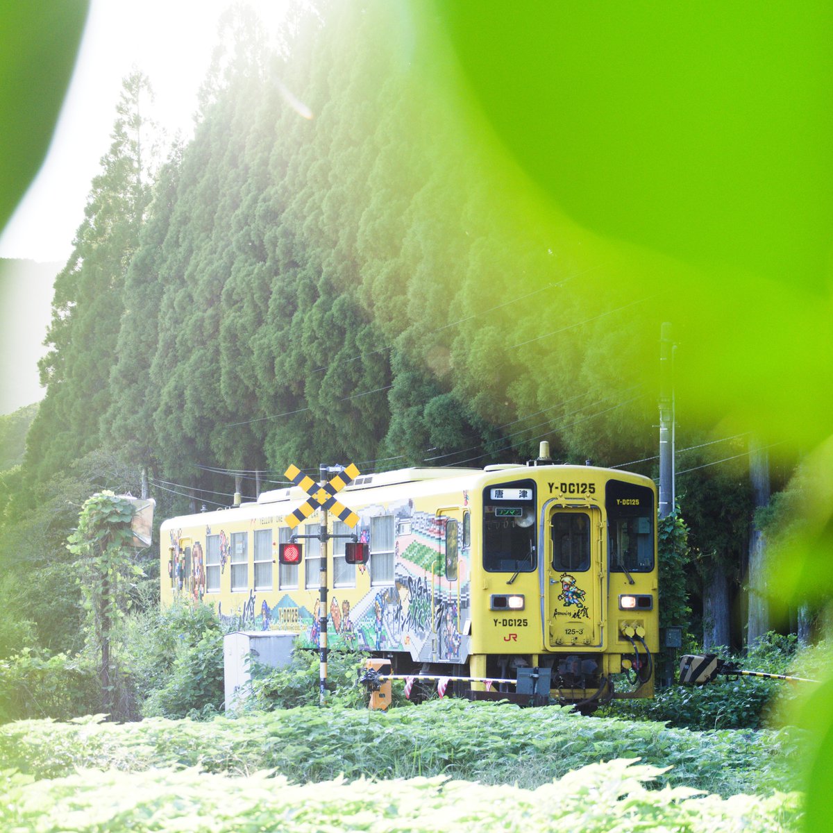 mountainfrog2's tweet photo. 黄色の気動車
#JR九州
#筑肥線
#西相知駅
#Y-DC125
#写真好きの人と繋がりたい https://t.co/mmjmP6u8Vq