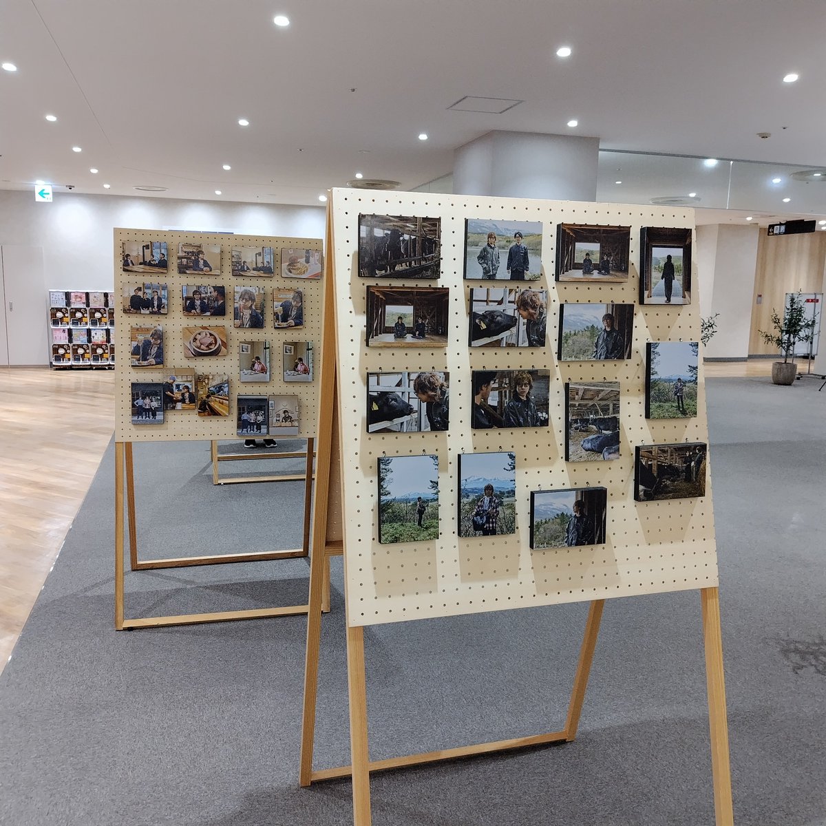katomarumaru's tweet photo. 秋田駅前アルスの写真展は今日まで？
ギリギリセーフで見れたかな🤓
画像ずっと流れてて、向かいの着物屋さんが曲覚えちゃったって言ってた👘🎶
フェスの余韻に浸ってきました🥹
にかほ市良かったな〜😌

#高橋優　#acmf　　#にかほ市 https://t.co/OOVLjgaS6W