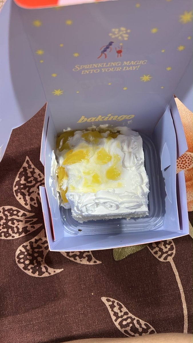 invisibEngineer's tweet photo. Hi  @zomatocare I am writing to request a full refund for my recent order (#8660396713) from Bakingo. Both the Choco Truffle and Pineapple pastries arrived completely melted, messy, and damaged during transit, as you can see in the attached photos. This quality is not acceptable https://t.co/E1mWz3ylja