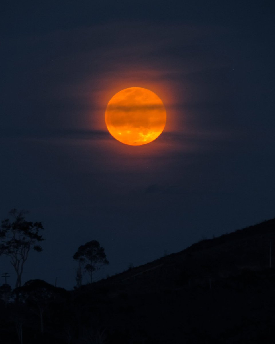 earth_moonw's tweet photo. 🌕✨ https://t.co/C2RdUOjFyb