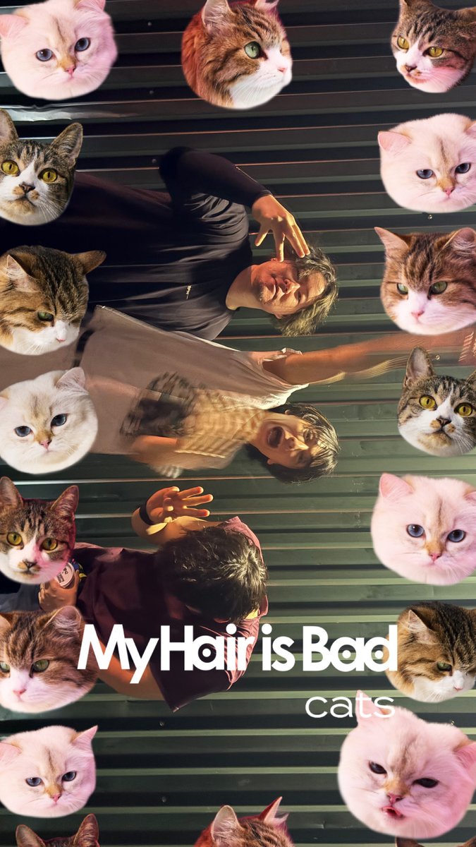 MyHairisBad's tweet photo. 【catsフレーム近日公開予定🐱🎵】

7th Full Album「cats」のジャケットに登場した猫さんが散りばめられた
🐱📷catsフレーム📷🐱近日公開！

公開までお楽しみに！

※先ほどのポストは、システムエラーのため一度取り下げいたしました🙇
公開まで今しばらくお待ちください！ https://t.co/mKWEXfnqGU