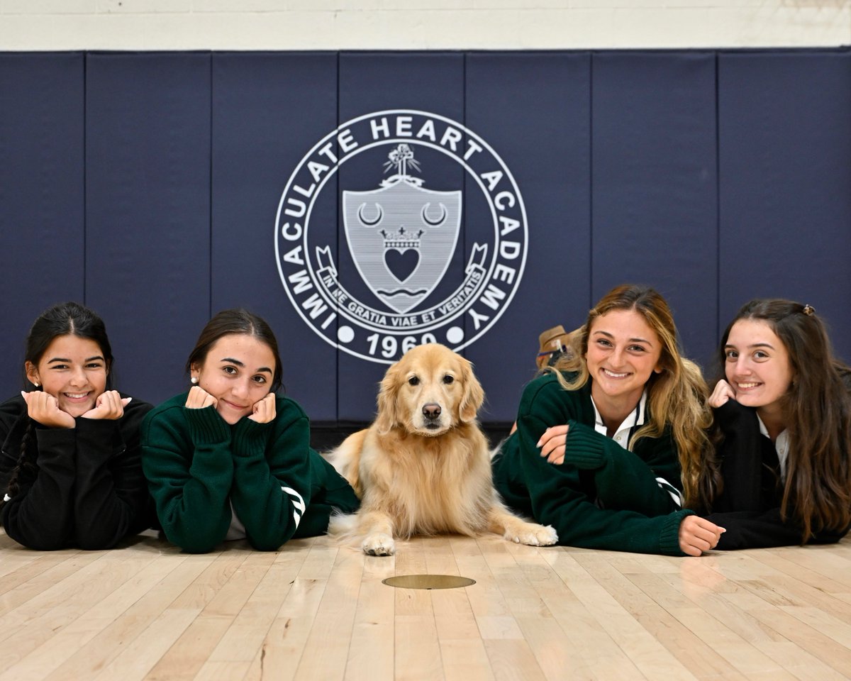 TheIHANJ's tweet photo. Once a month, therapy dogs visit IHA to help students relieve stress and give them a mental and emotional rest. 💙🐾
Click here to read more: https://t.co/UFGnBfKRQJ https://t.co/ynFNvSgOnl