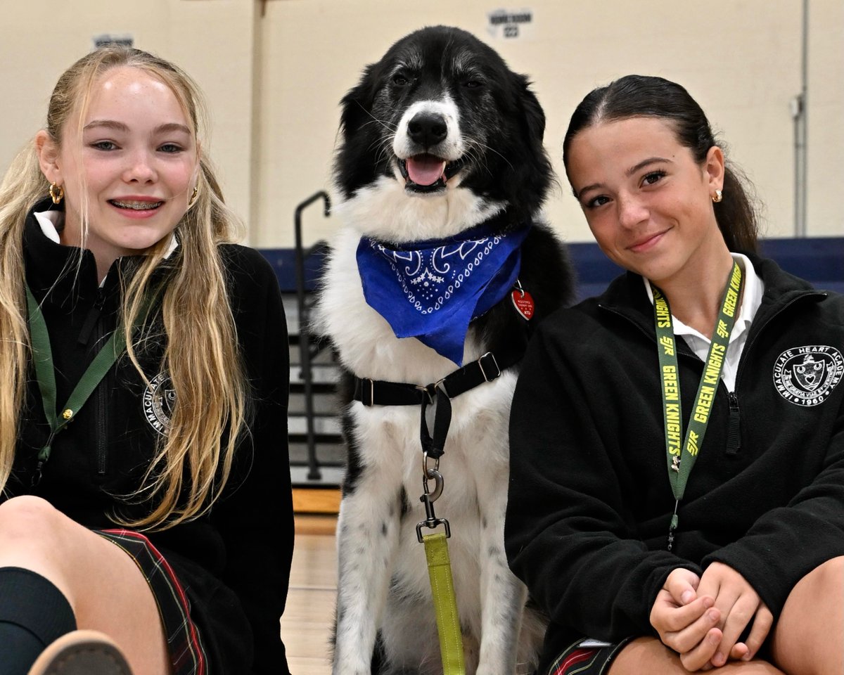 TheIHANJ's tweet photo. Once a month, therapy dogs visit IHA to help students relieve stress and give them a mental and emotional rest. 💙🐾
Click here to read more: https://t.co/UFGnBfKRQJ https://t.co/ynFNvSgOnl