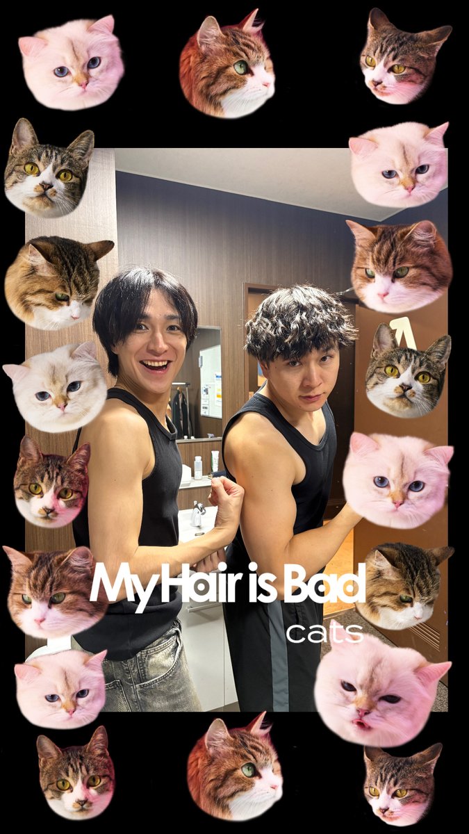 MyHairisBad's tweet photo. 【catsフレーム近日公開予定🐱🎵】

7th Full Album「cats」のジャケットに登場した猫さんが散りばめられた
🐱📷catsフレーム📷🐱近日公開！

公開までお楽しみに！

※先ほどのポストは、システムエラーのため一度取り下げいたしました🙇
公開まで今しばらくお待ちください！ https://t.co/mKWEXfnqGU