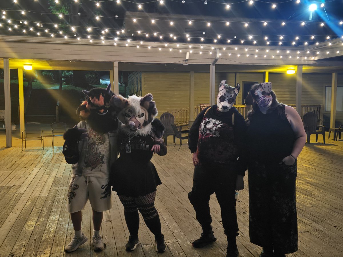 AquaTheFox's tweet photo. A girls got to pup out every now and then hehe https://t.co/OR2NMqtIbB