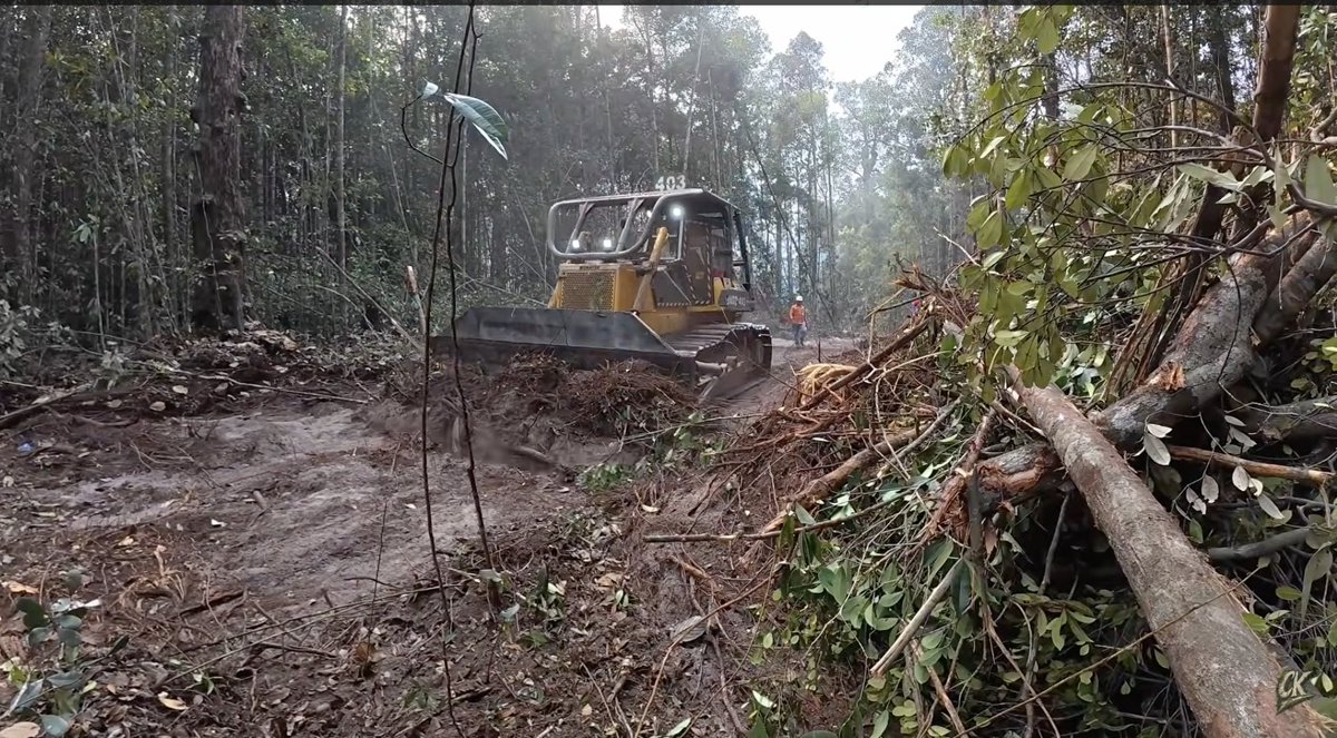 LambeSahamjja's tweet photo. guys lu pada tau gak nih
kalaweit cerita tentang perjuangan tim penjaga hutan lawan kebakaran hutan yang ngancem kawasan konservasi

mereka bikin sekat bakar pake dozer buat halangin api turun ke kawasan yang mau dilindungin

pemimpinnya sampe ngemis ke perusahaan selama lebih dari 2 hari biar alat berat dozernya diturunin

dia bilang ini pertama kalinya dalam hidupnya dia seneng liat alat berat masuk hutan, padahal biasanya dia lawan penebangan

katanya "baru kali ini saya orang yang minta doser untuk merusak hutan demi menyelamatkan hutan lebih besar"

dosernya sempet rusak pas baru bikin sekat 400 meter, sementara api terus nyala lagi nyala lagi

pas dozer rusak, tim tetep lanjut manual sambil narik selang buat kepung apinya sambil nunggu dozer bisa jalan lagi

mereka bikin sekat api semepet mungkin sama api biar kehilangan hutan seminimal mungkin, walau berarti banyak pohon yang harus ditebang

butuh 12 hari lebih buat nyelesain sekat bakar sepanjang total sekitar 3 kilometer

akhirnya sekat bakarnya berhasil nahan api, hutan besar di baliknya selamat

ada bagian sekat sepanjang 300 meter yang gak bisa dibikin karena topografi ekstrem dan ada rawa, untungnya rawa itu sendiri jadi penghalang alami

di akhir dia sempet jalan kaki masuk hutan yang berhasil diselametin, nemuin sungai jernih, dan dia nahan diri buat gak mandi karena masih bertanggung jawab sama tim

sepanjang proses ini tim kerja gantian siang malam, tidur di hutan, dan banyak dapet dukungan dari penonton channel