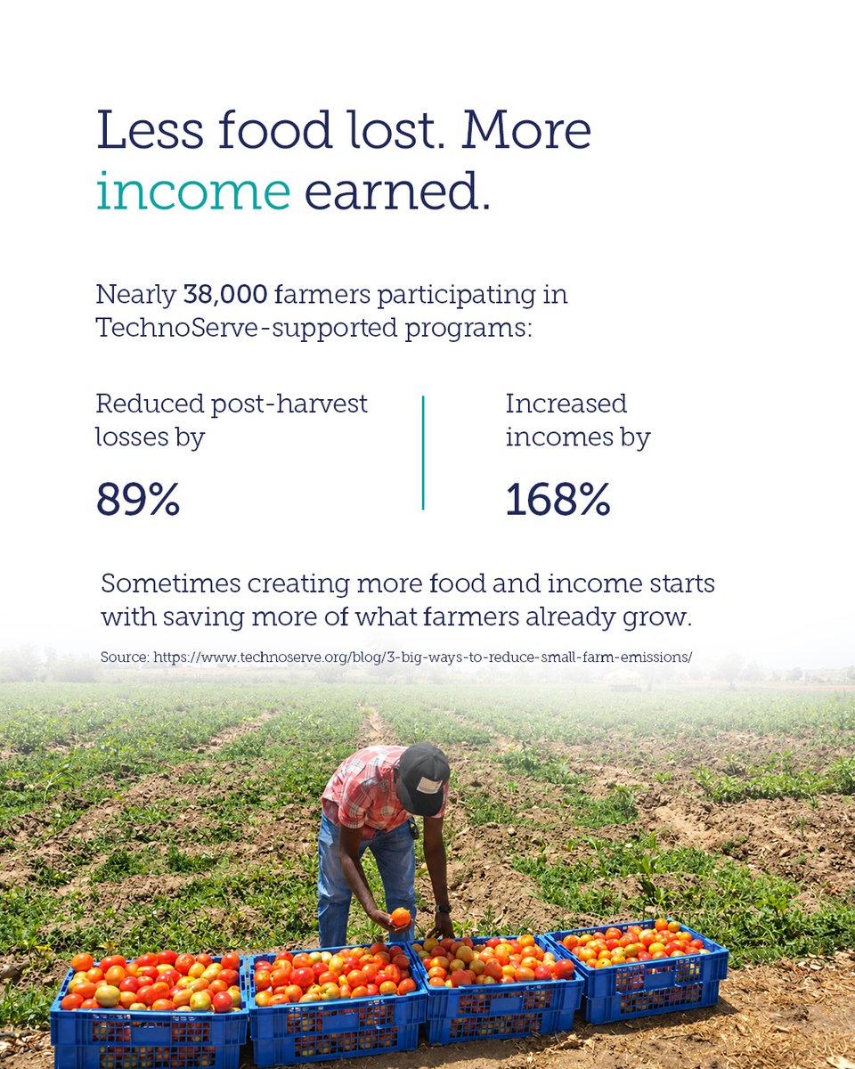 TechnoServe's tweet photo. Peru's coffee farmers planted 650,000 trees through agroforestry — sequestering as much carbon as taking 38,000 cars off the road for a year, while adding $4M+ to their incomes. 🌳☕
3 ways small farms are cutting emissions 👇
 https://t.co/0xVCoFKBpL https://t.co/KjLztC8nL9