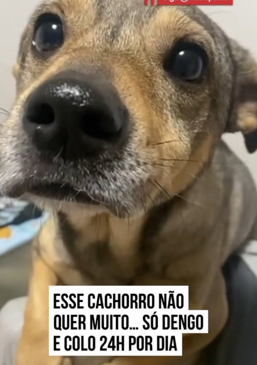 allihson's tweet photo. eu sou essa imagem https://t.co/x724FyIiyT