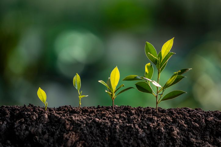 StrathBusiness's tweet photo. Mark McLay chose to complete the Help to Grow programme at Strathclyde Business School to help him with his business career – in today's blog, he highlights how its practical insights and mentorship has helped him grow with confidence and strengthen his business understanding. 

Read the full blog here: https://t.co/xCLIt5lq2G