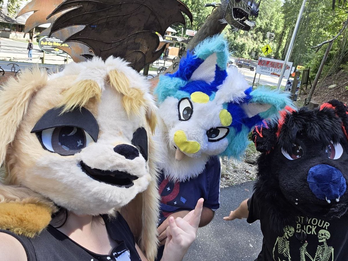AquaTheFox's tweet photo. Thank yall #FTO2026 for once again another amazing year at fontana village I love yall so much https://t.co/RIoFWjzpIP