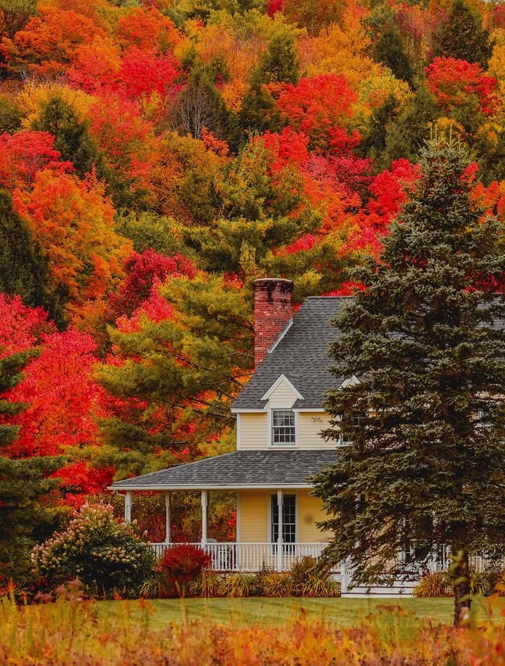 Alina_bloom79's tweet photo. Autumn in England.. 🍁🍁 https://t.co/Y2dUG2kAJA