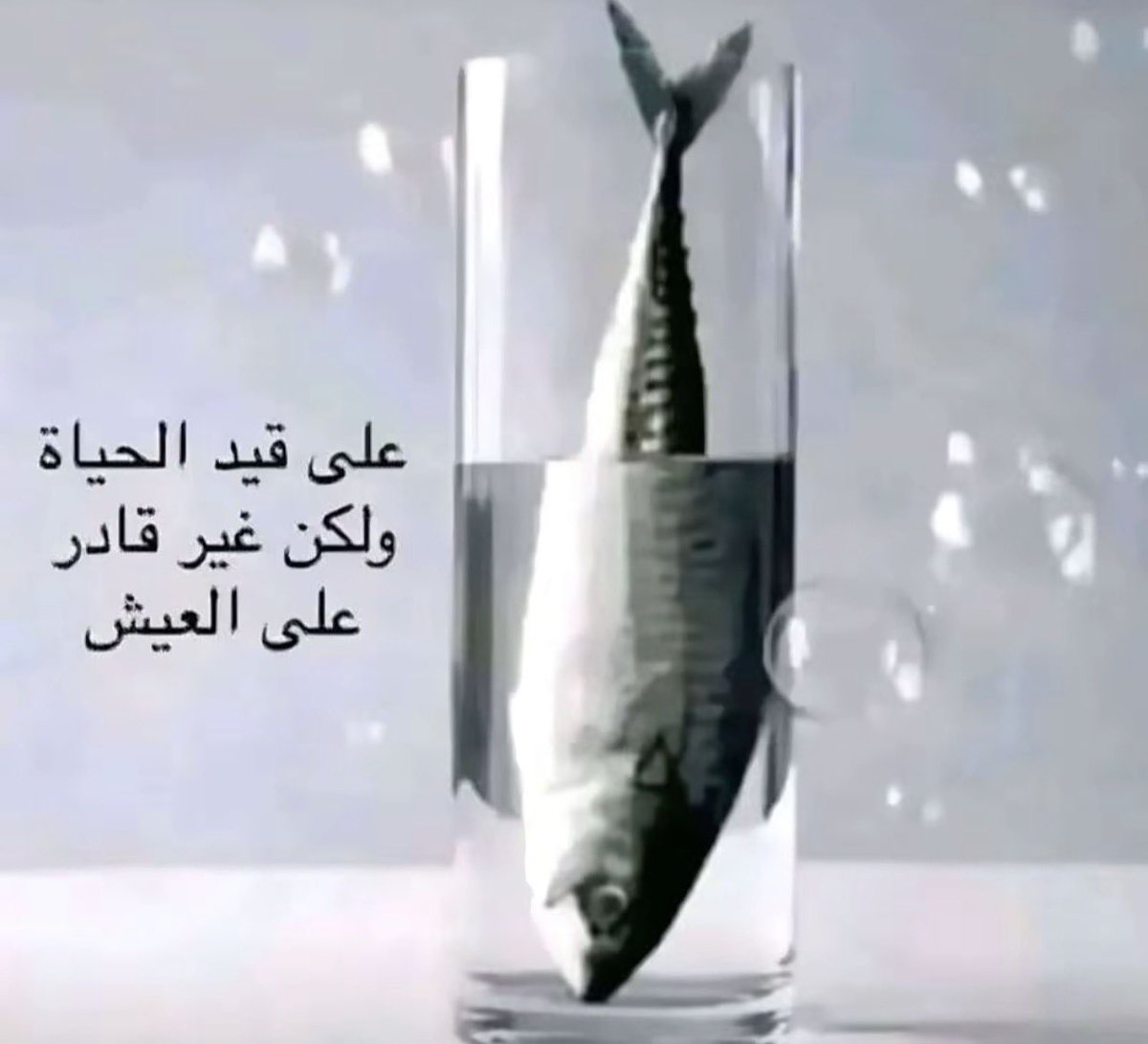 7jkrs's tweet photo. #٢٠٣٠_بلا_نقاب https://t.co/dXMtoDKUyO
