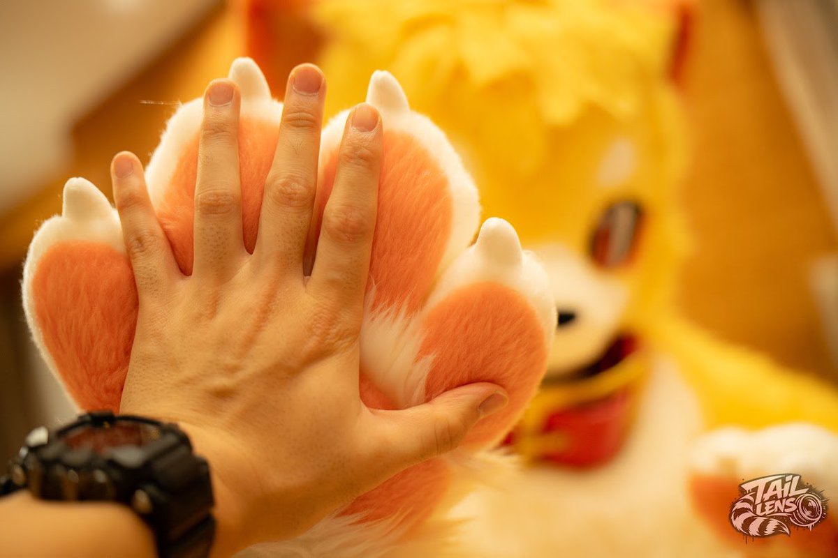 KemoPito's tweet photo. 僕の手、もふもふでしょ！

📸@TailLens96 https://t.co/9YNLfEalp1