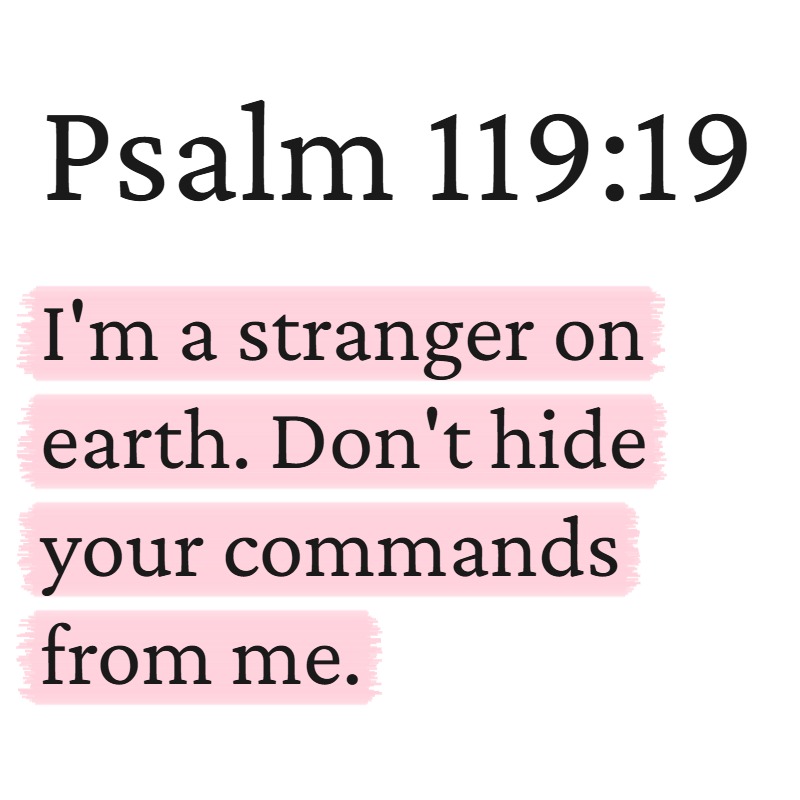 PositivePsalms's tweet photo. https://t.co/Lq2YziDrvd