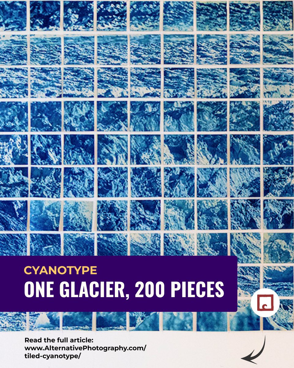 alternativephot's tweet photo. How do you make a cyanotype that is over 2 metres wide? Elizabeth Bourne divided her photograph into 200 individual sections and created a tiled paper negative.
Read the full process:
👉 https://t.co/DukEaNNI71
#cyanotype #cyanotypes #digitalnegatives #negatives #altprocess https://t.co/DCKo6zED6n