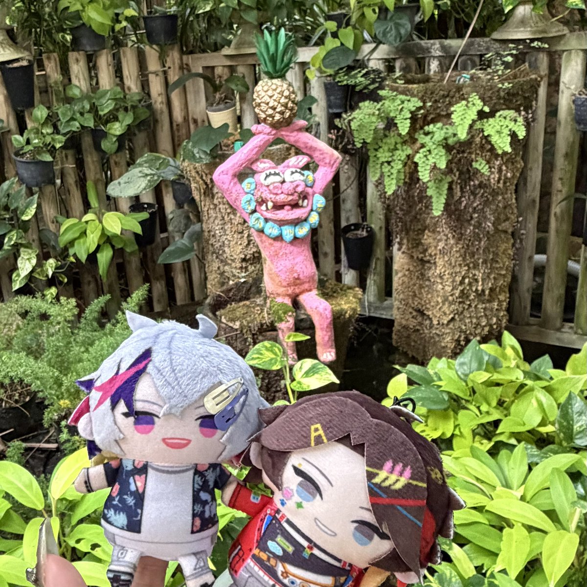 hh_bd0's tweet photo. 無事に行けたよ報告🍍めちゃくちゃ楽しかった〜❕ふわぐさ、ありがとう。 https://t.co/nFfSJxXn4m