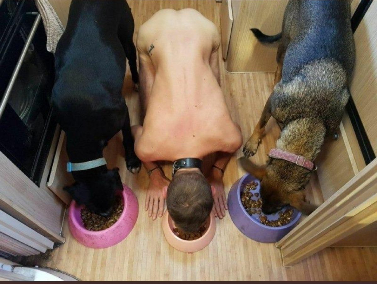 SamuelAlvefl's tweet photo. Algum dom ou casal de dom que queira uma cadelinha de estimação estou disponível quero muito ser um animal de estimação de um dom ou um casal de dão quero muito ser a cadela de estimação do casal posso ser o neném da família a empregada mas sempre sendo a cadelinha de estimação https://t.co/5eaBDWKx9l