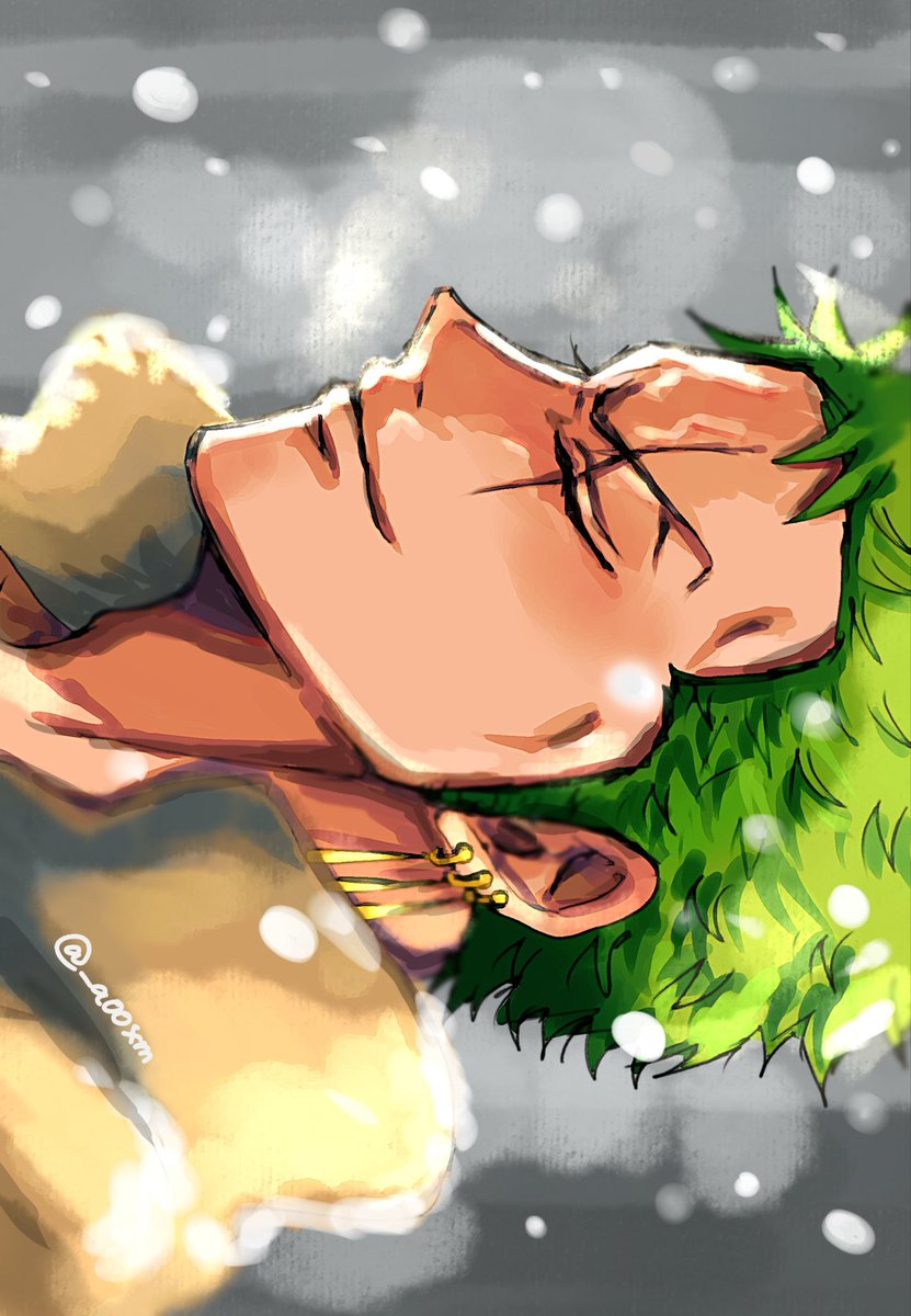 _a00xm's tweet photo. ゾロ https://t.co/WVwJIOZzCZ