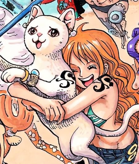 HauntingUrHouse's tweet photo. cat burglar nami loving cats is so fitting https://t.co/D3uusMRWvy