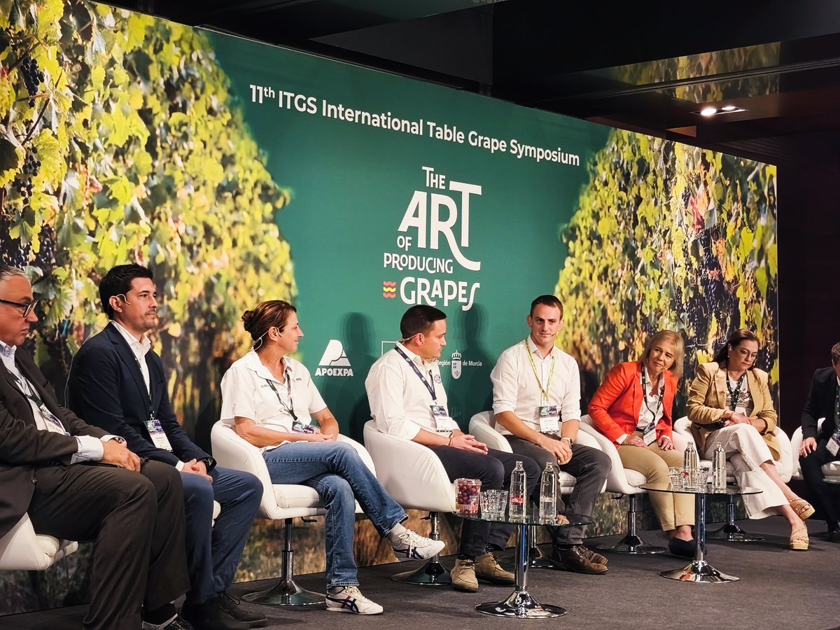 eComercioAgr's tweet photo. Mesa debate: Marca: Que significa el éxito?
Alan Aguirre, Divine Favor
Tesia Marcos, The Grapery
Esther Gómez, ITUM Grapes
Noemí Karniel,
Grapa Global
Paul Farmer, Bloom Fresh
Simon Bell, Fresh Produce Hub
#11ITGS
#TheArtfProducingGrapes
Revista #Ecafruits https://t.co/6D9dxbSnzg