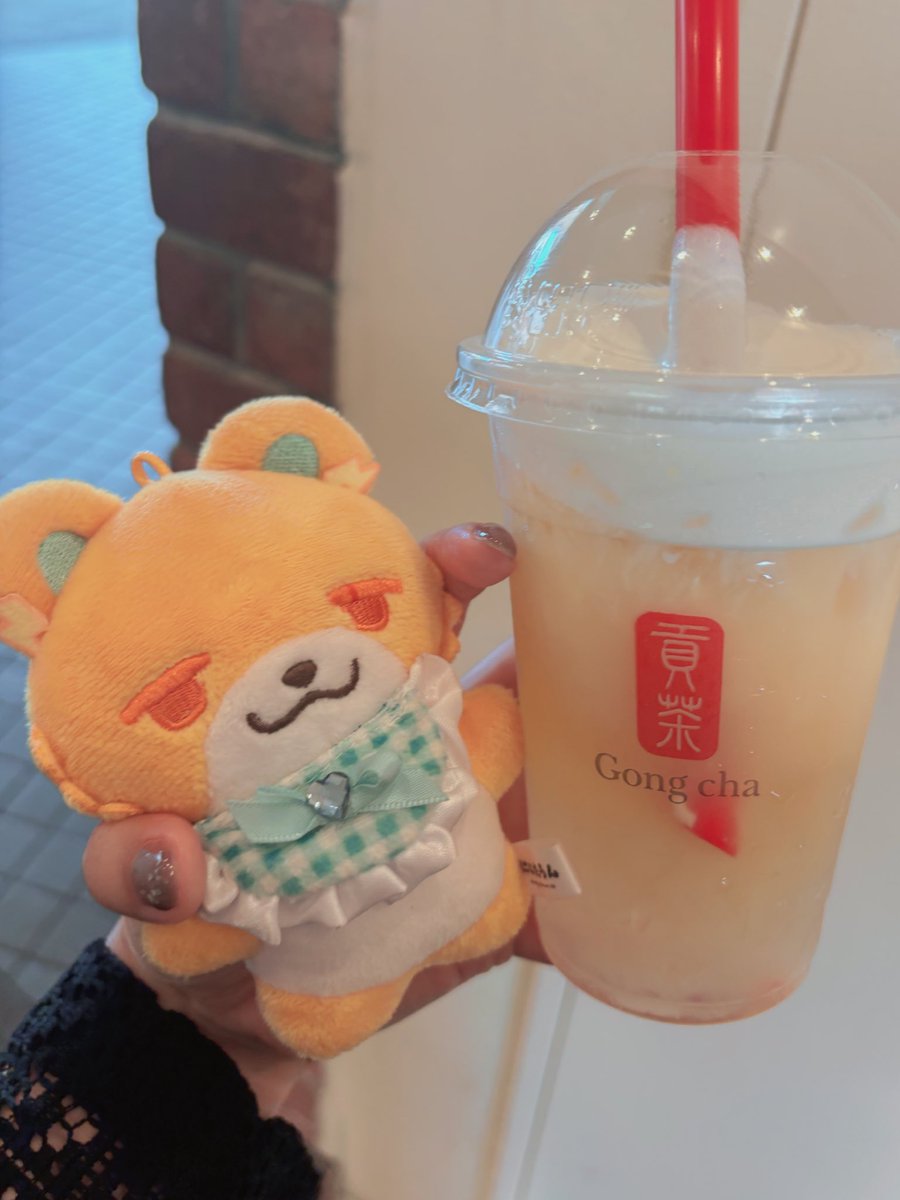 MajideSasuke's tweet photo. 自分も先日、気が利いてました https://t.co/WNKebiBIcL