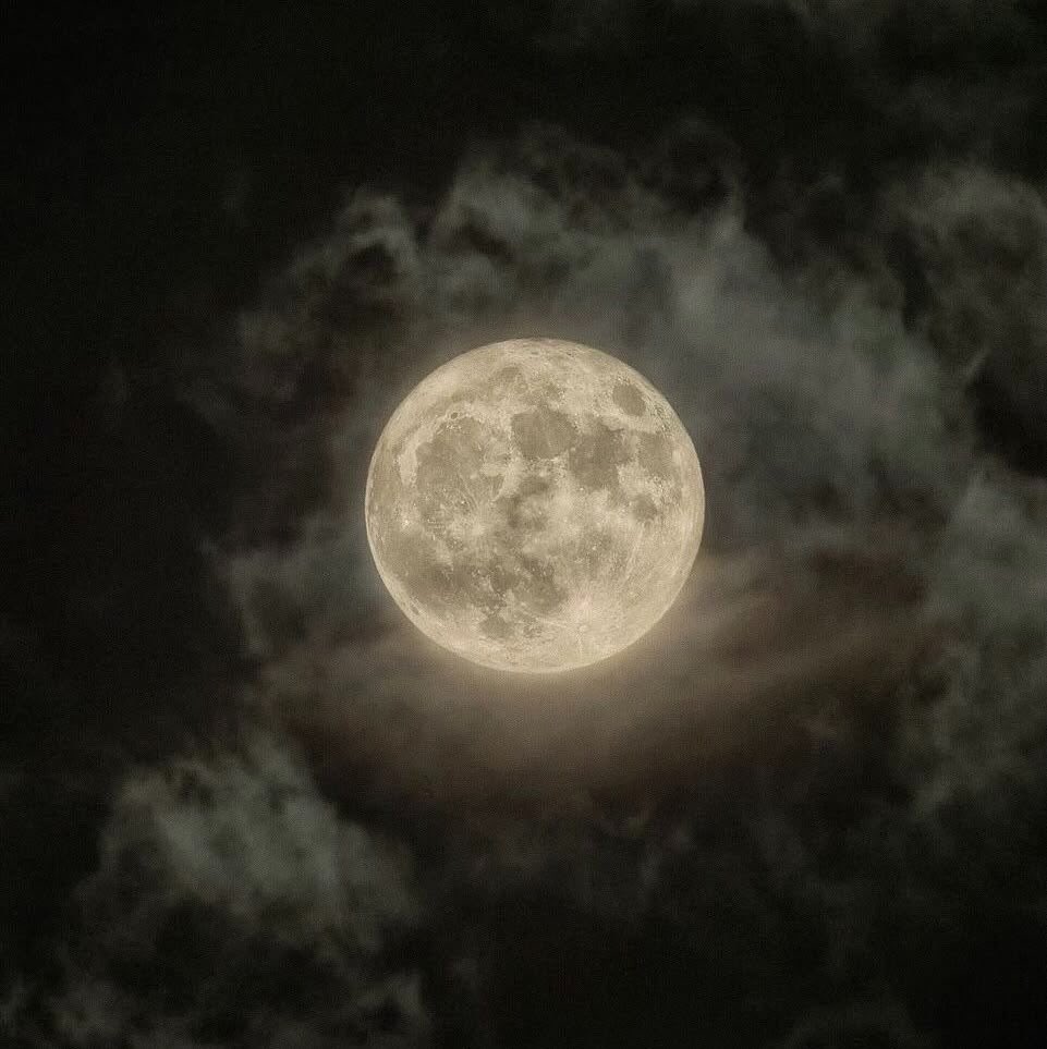 otherwoordly's tweet photo. “what kind of absurdity is this?!” crumpling the paper in his hand, the king’s voice roared inside the court. 

it was indeed absurd, that the nation the moon goddess breathed life into is now turning their back on him, wanting to annihilate his existence along with the king’s. https://t.co/hPYycNKebS
