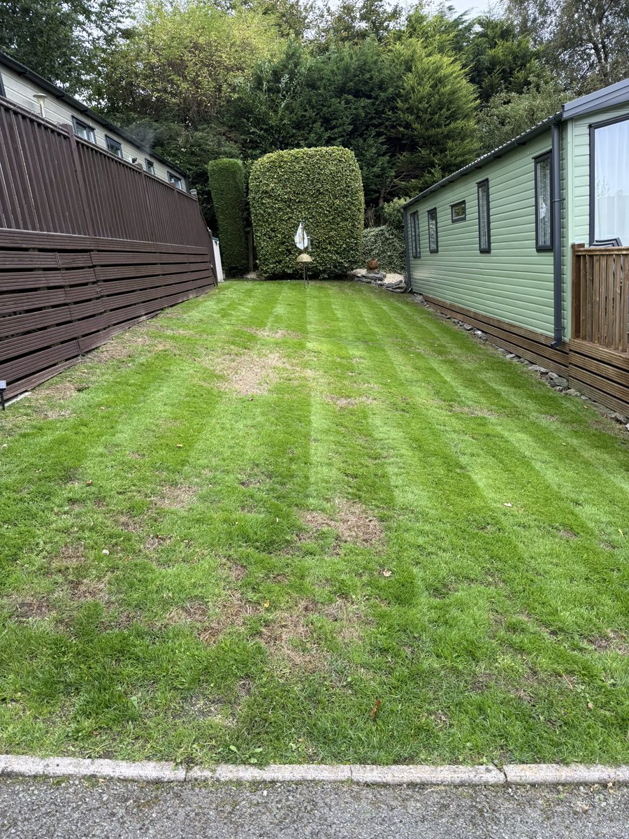 bagshaw2112's tweet photo. Busy morning at my lodge in Bala , trying to build a rockery in my bit of garden, needs a bit more colour! Lawn still very patchy after 5 weeks, still need a bit more rain so the seed will germinate ! #bala #wales #snowdonia #happyplace https://t.co/OWM6Pl3p4A