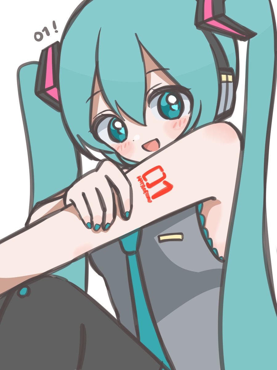 tina_muchimu's tweet photo. 数字見せてくれるミクさん https://t.co/aciyezdQmR