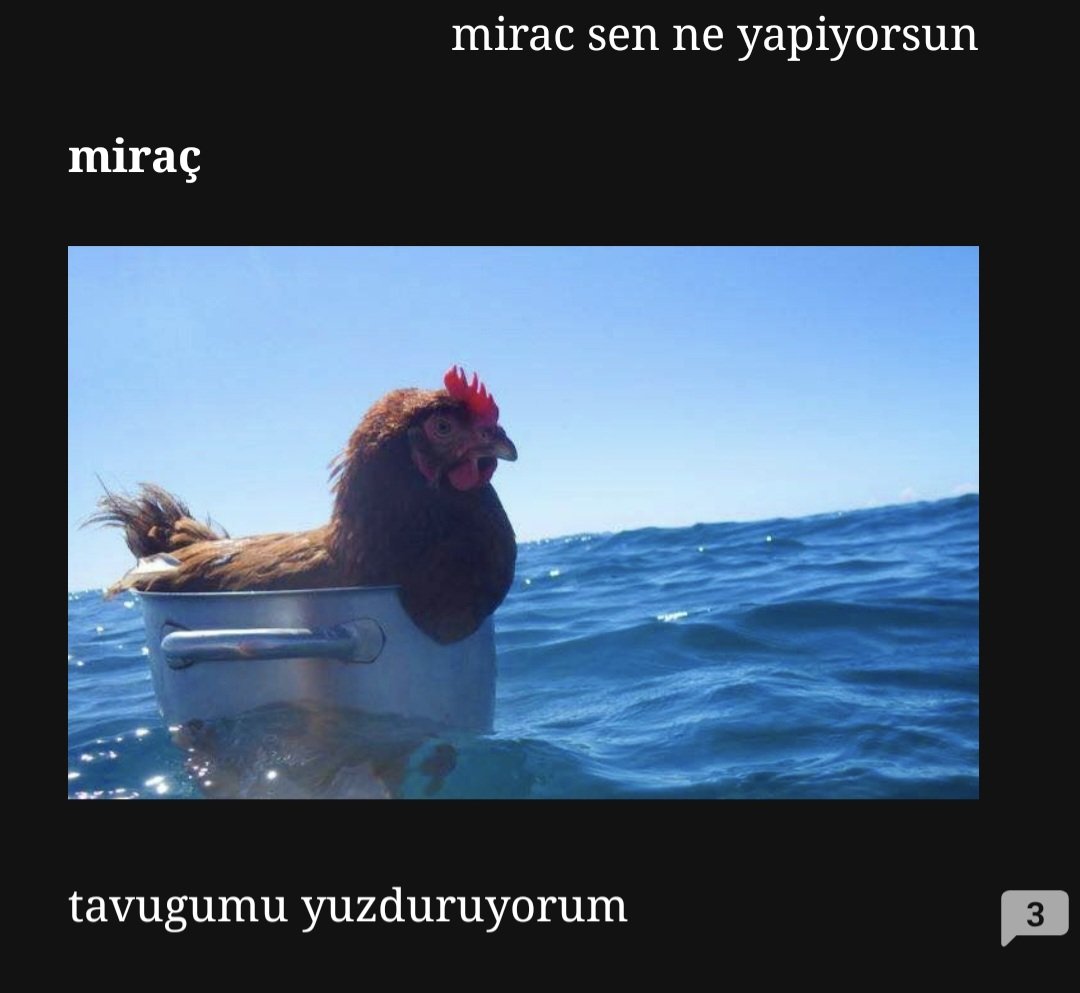 zericavado7wm's tweet photo. PUHAHAHAHAHHAHAHAJAAJGDDDHBDB https://t.co/ccqevpENZr