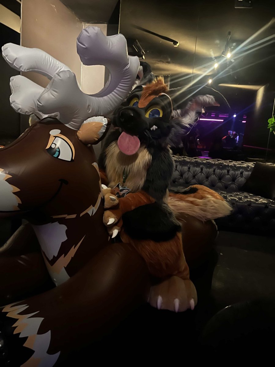 Flip_gshep's tweet photo. #fursuit #fursona #furry https://t.co/TdyKKWynX4