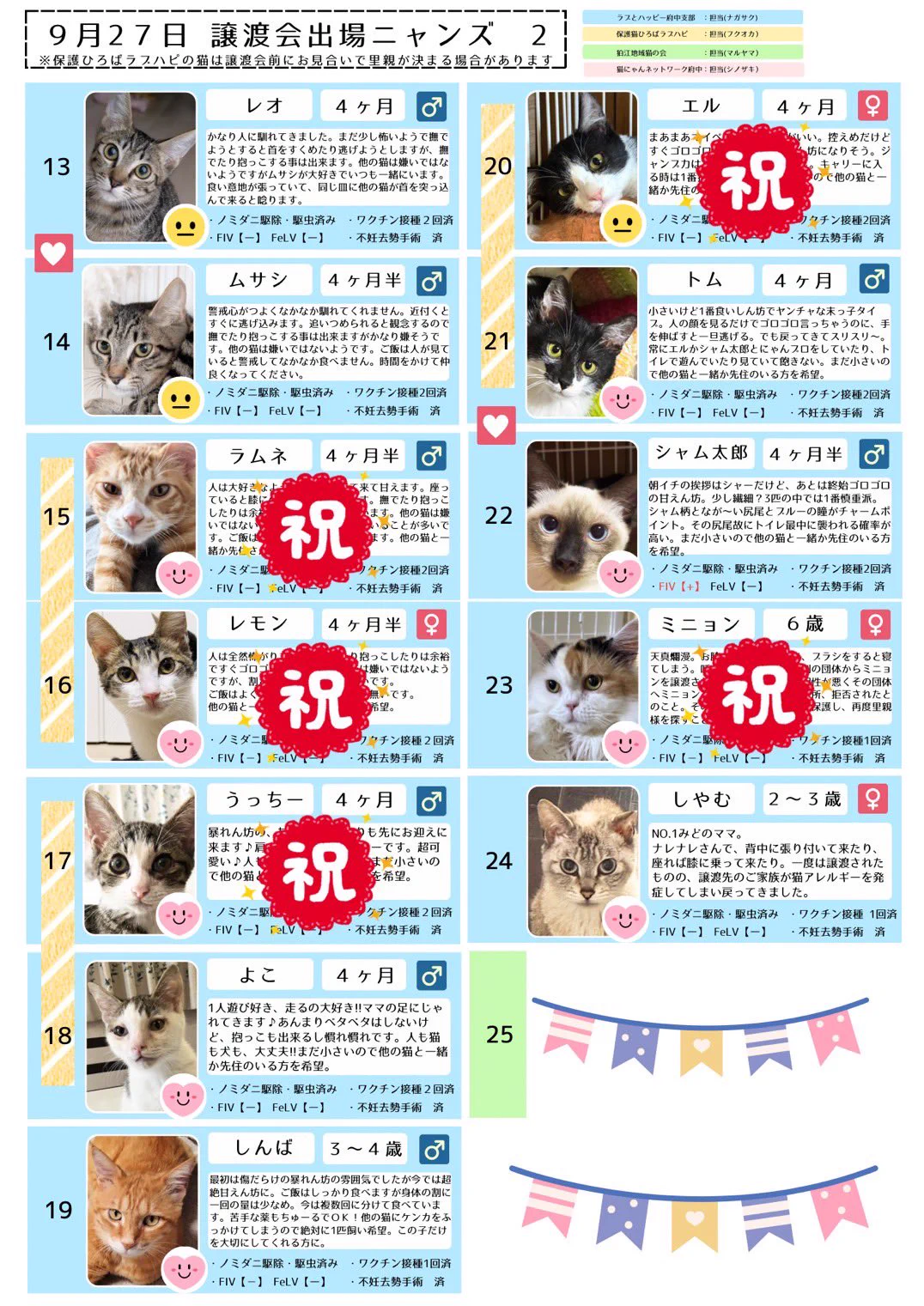 NPO法人 保護猫ひろばラブハピ on X: 