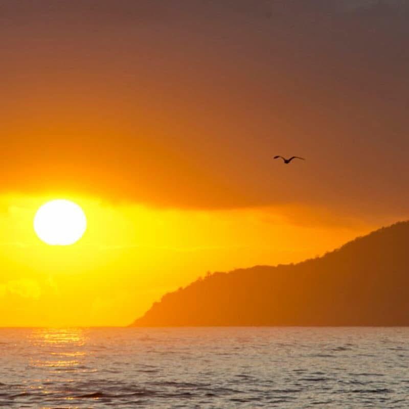 SouzaCrisd's tweet photo. Senhor eu quero as bençãos no seu tempo! Porta que Deus abre ninguém fecha Amem 🙏🏻 https://t.co/ZaK4nNPtkg