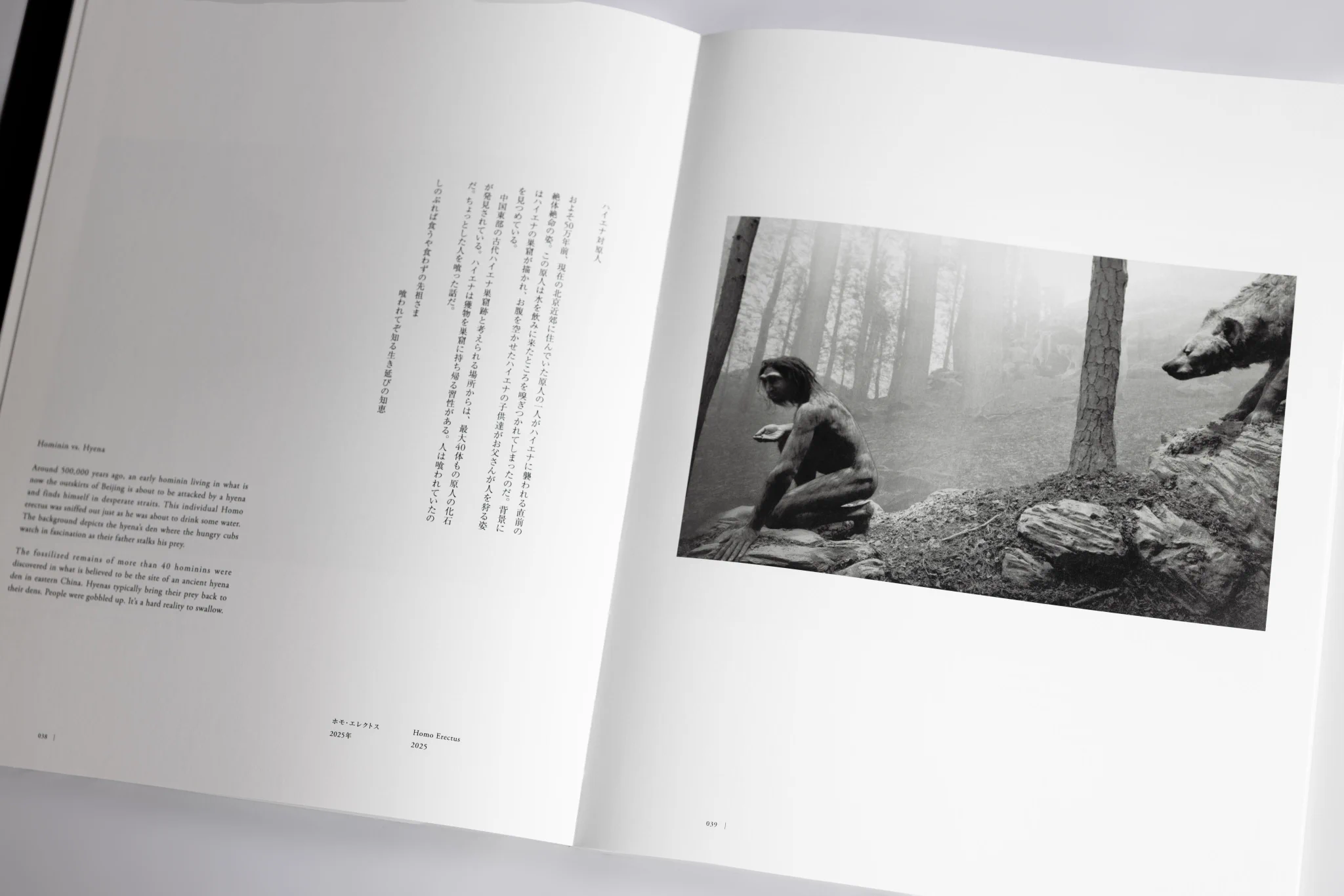 杉本博司 絶滅写真【公式】 on X: 