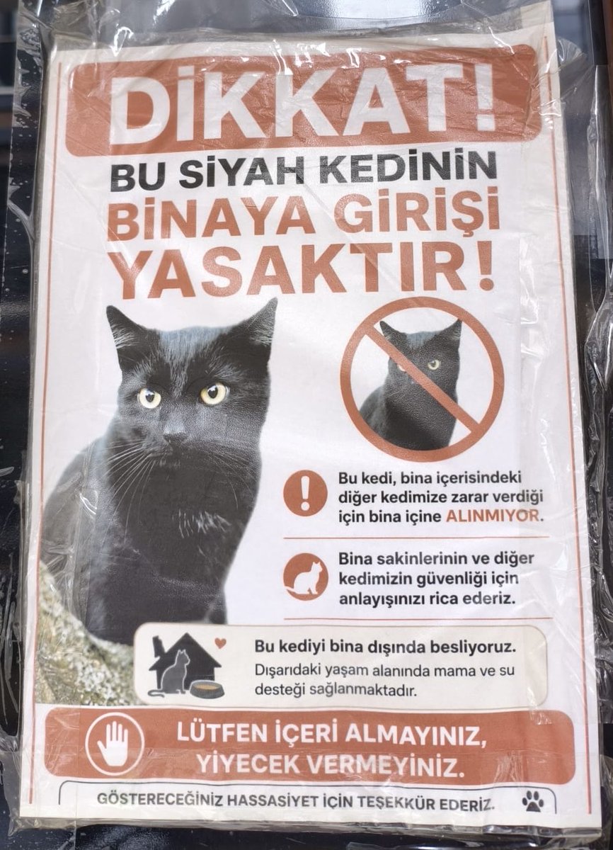 f0xandthecity's tweet photo. agliorm amk napms olablrsn bu kadar https://t.co/RPANnPSQXa