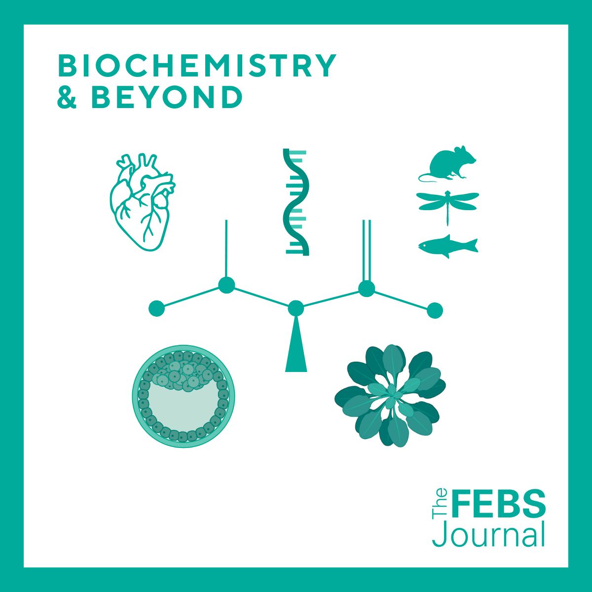 FEBSJournal's tweet photo. 📣 Call for Papers!

We are excited to invite submissions for our Biochemistry & beyond collections! We are seeking articles across a broad range of topics, including:

🌱 Plants & Biotechnology
🐟  Organismal Biology & Microbiology
🫀  Cardiobiology
🧫  Stem Cells & Development
🧬  RNA Biology & Epigenetics

Discover more here ➡️  https://t.co/KMqszRZTZR

Explore our Biochemistry & beyond collections here ➡️  https://t.co/yaIK7twoW3