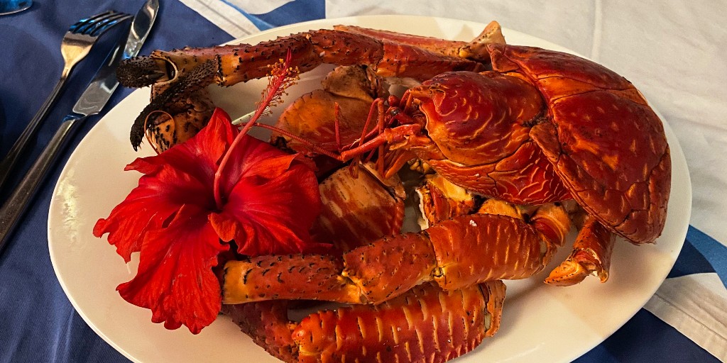 newcaledoniajp's tweet photo. 🦀🌴ニューカレドニアで味わいたい、島のごちそう✨

🌿マングローブに生息するカレドニア・クラブ🦀は旨みたっぷり😋 🏝️離島ではヤシガニ🦀に出会えることも！
青いラグーンを眺めながら🌊 島ならではの味を楽しむのも旅の醍醐味💕

#ニューカレドニア 🇫🇷 #天国に一番近い島 #海外グルメ 🍴 #ヤシガニ https://t.co/CTELQZN3yT