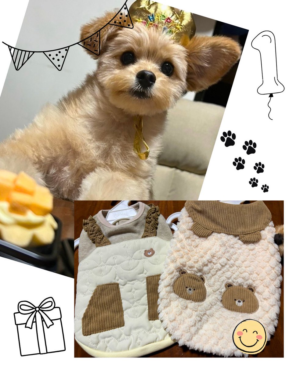 trhk_moig's tweet photo. レオくん🐶
1歳のお誕生日おめでとう🎂🎉
出会ってくれてありがとうね✨ https://t.co/lWtea0vUGA