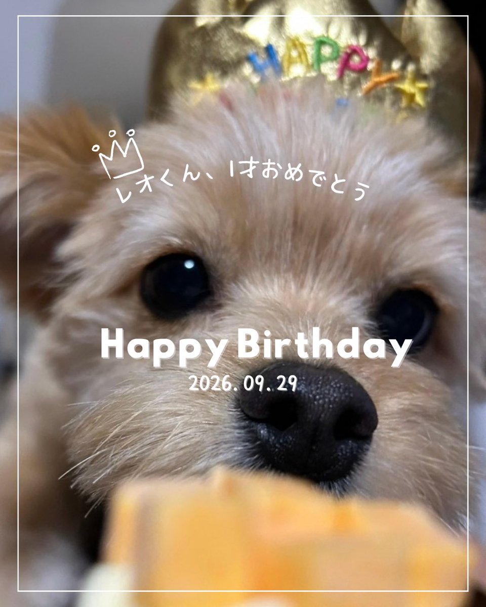 trhk_moig's tweet photo. レオくん🐶
1歳のお誕生日おめでとう🎂🎉
出会ってくれてありがとうね✨ https://t.co/lWtea0vUGA
