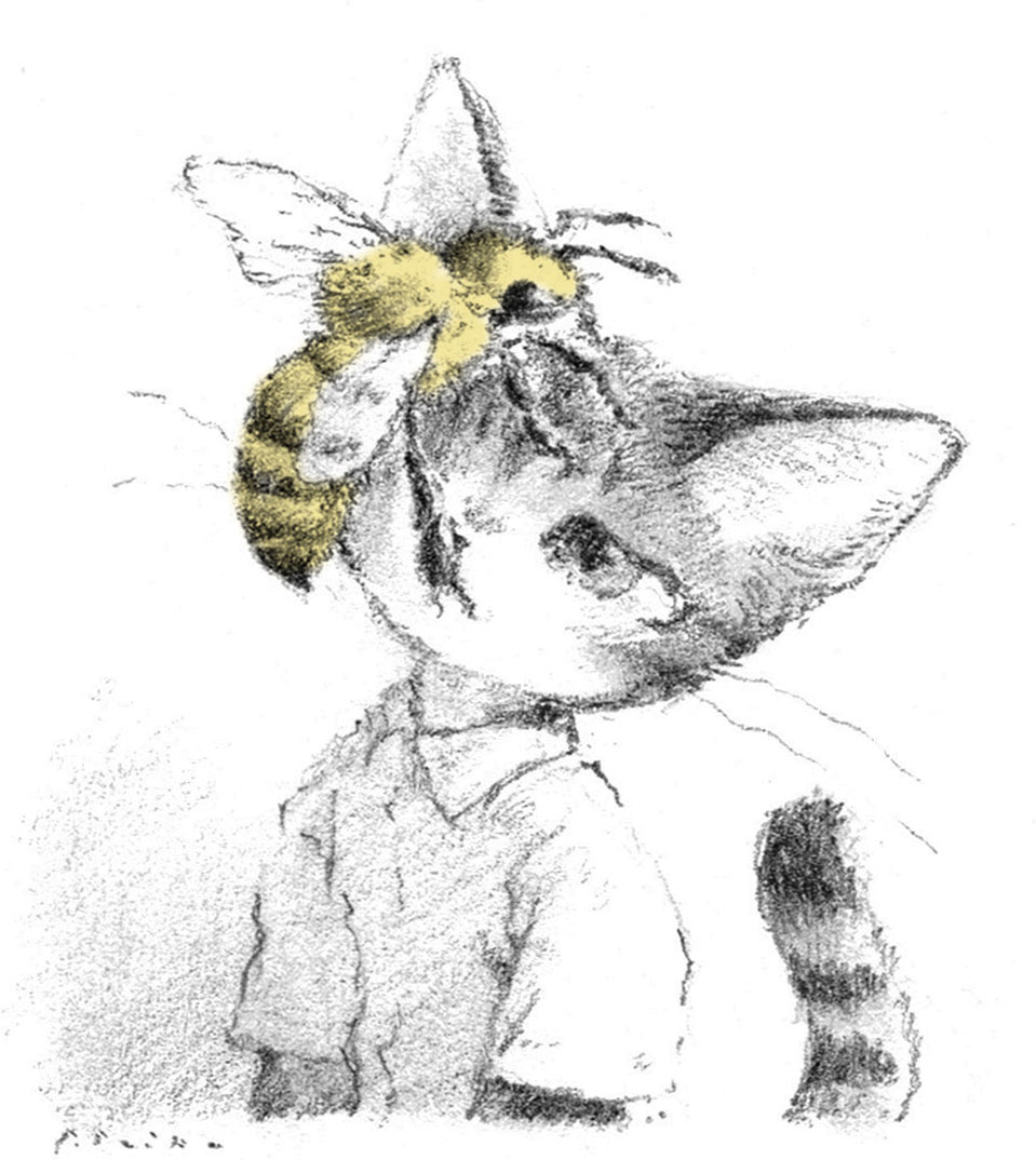 toshoneko's tweet photo. https://t.co/1U8S0W4jOy