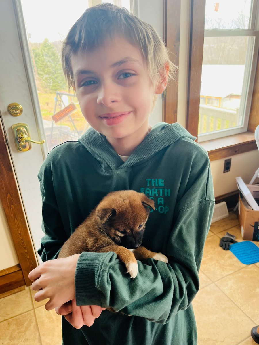 rebeccaperrotto's tweet photo. Liv begged us for a Shiba Inu puppy for years. Then she got sick. We promised her one to celebrate being cancer-free.

In April of 2022 we brought Tsuki home, and Liv gave her a Japanese name, of course. It means moon.

She quietly planned her dream trip to Japan for years. First on the list was the Mame Shiba Inu Cafe in Harajuku.

We promised her she would make it there. She did. She sat on the floor and loved on those dogs for as long as she could.

One of the last things she asked me was if her pets would go to Heaven too.

I told her yes. That God loves them, and they will be there with us someday.