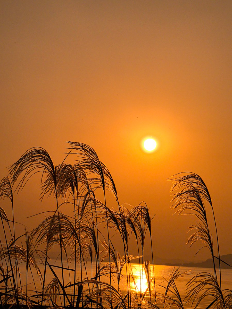 Rahmat35747930's tweet photo. [When the sun sinks low, even the humblest stones hold quiet worries that melt into the twilight]， https://t.co/9YUTx1NlEE