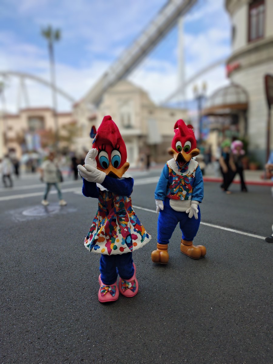kusu291's tweet photo. 26/9/14 グリにて

ウィニーちゃんが『今日は私が撮るわ📸』とゲスト一人一人を激写🤭続いてウッディーに『お写真撮らせて✨』とお願いすると『ボク？』とポーズするも結局『ボクも撮るわ📸』と２人によるゲスト撮影会が行われました🤣

#USJファン https://t.co/Duy66yZhvC