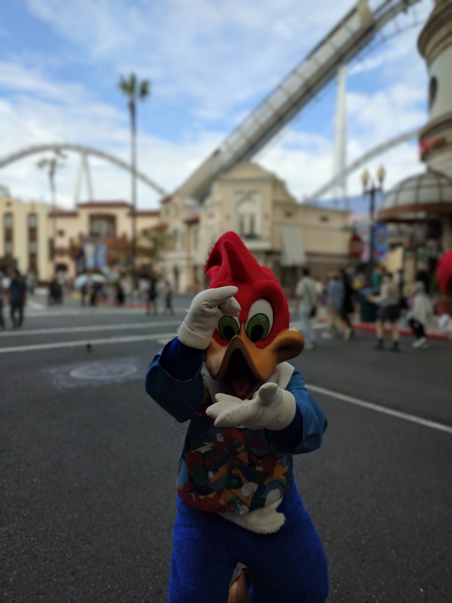 kusu291's tweet photo. 26/9/14 グリにて

ウィニーちゃんが『今日は私が撮るわ📸』とゲスト一人一人を激写🤭続いてウッディーに『お写真撮らせて✨』とお願いすると『ボク？』とポーズするも結局『ボクも撮るわ📸』と２人によるゲスト撮影会が行われました🤣

#USJファン https://t.co/Duy66yZhvC