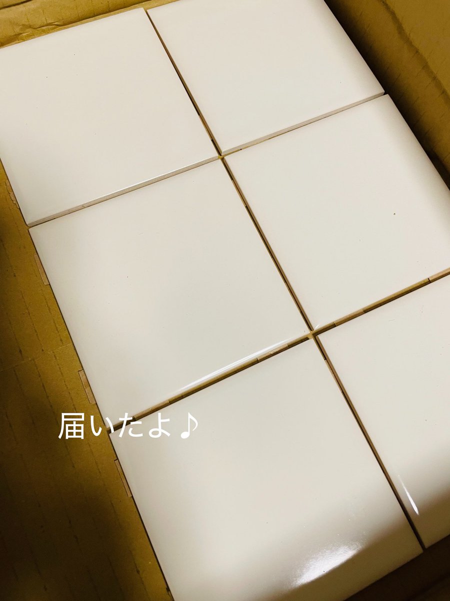 dZHsRYM7Qt20341's tweet photo. 〜キャメのタイルが届いたよ〜
これでキチペ食べちゃうもなくなるね。
（無事タイル入ってよかったぁ〜😂🤍）
#ニシアフリカモドキ
#爬虫類好きさんと繋がりたい https://t.co/NwIJMrrqMN