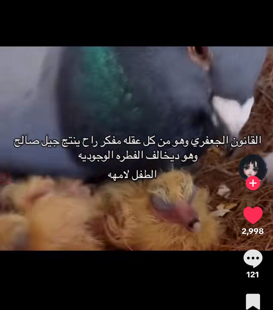 jaiwwne's tweet photo. #كلا_لمدونة_العار https://t.co/a6XTWyqAVP