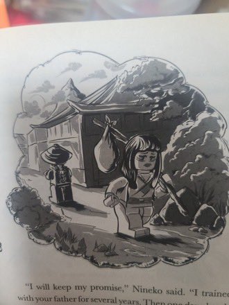 ninjagoarchive_'s tweet photo. @StormingZee Nineko?! https://t.co/yrVzQW1TKR
